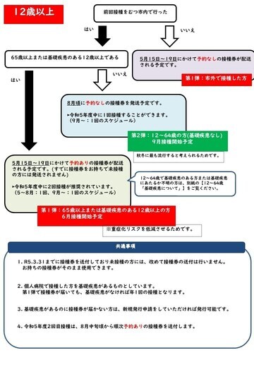 ワクチフローチャート（12歳以上）