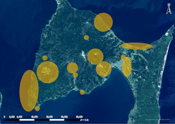 ジオ全体イメージ
