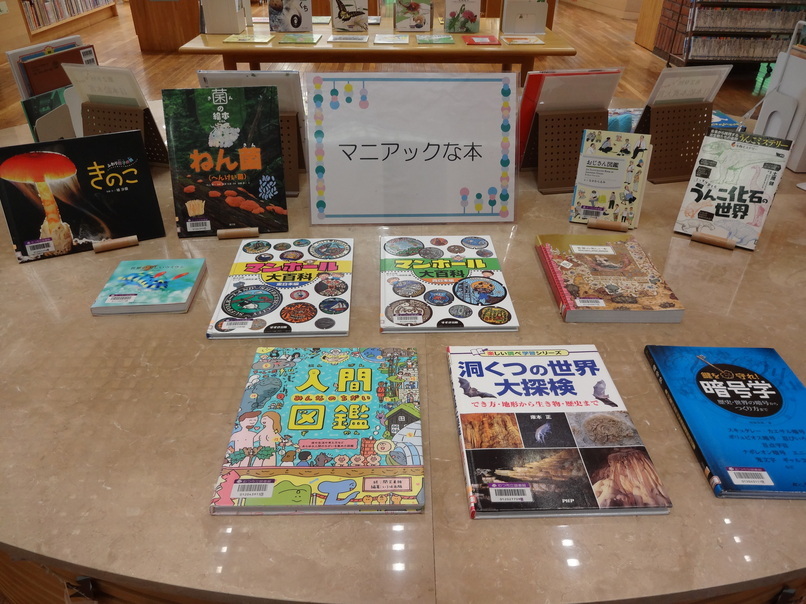 6月児童展示②「マニアックなほん」