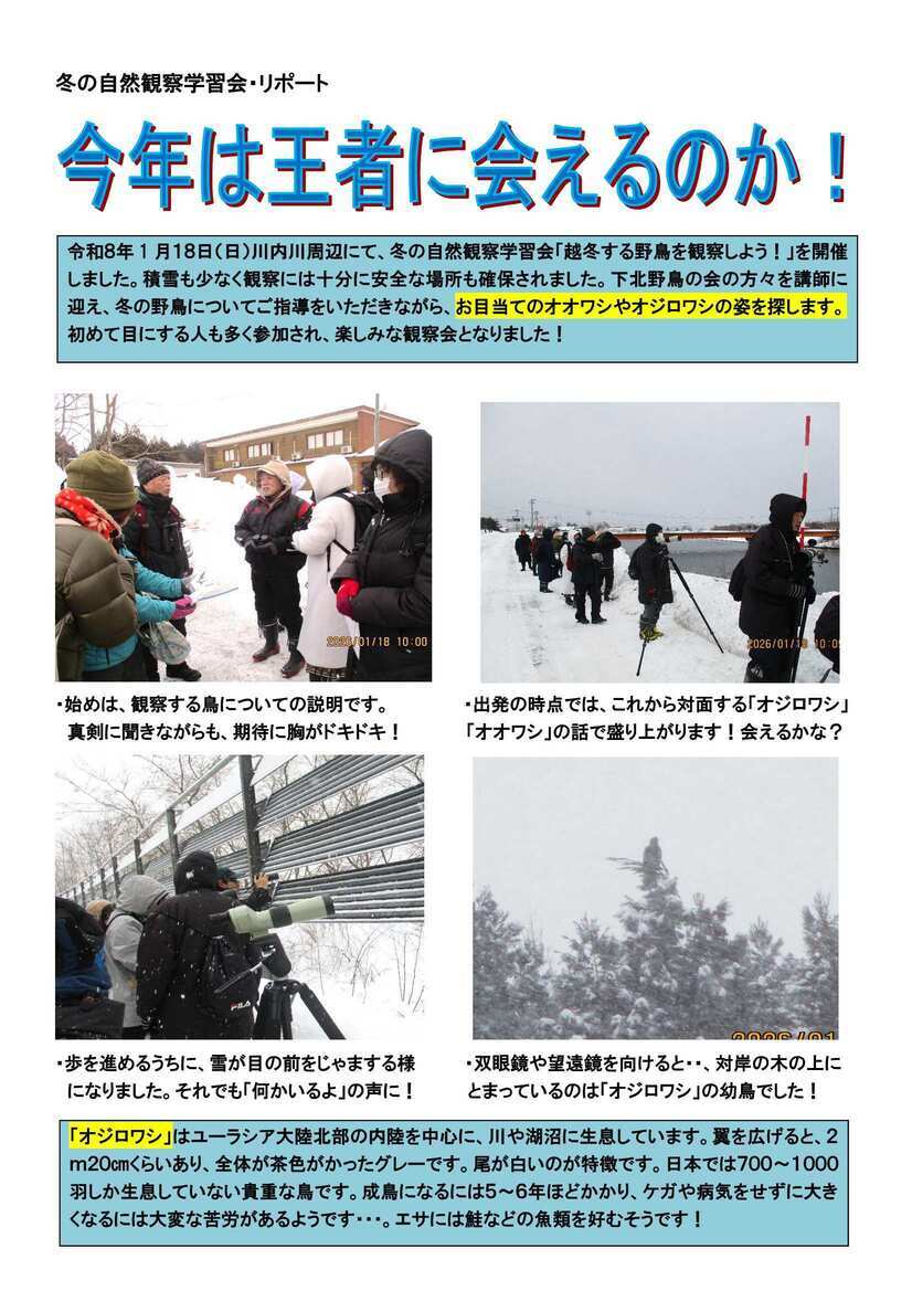 令和7年度自然観察学習会 冬のリポート1