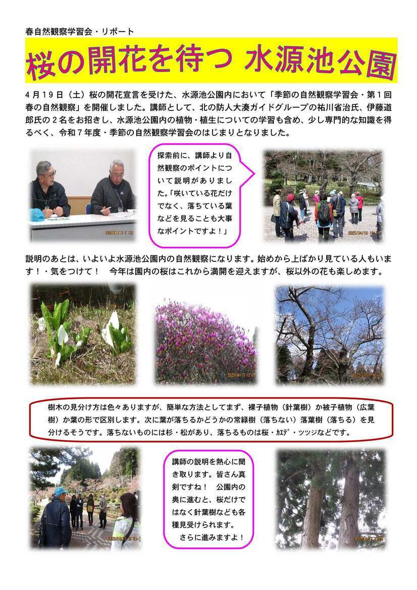 令和7年度自然観察学習会 春リポート1