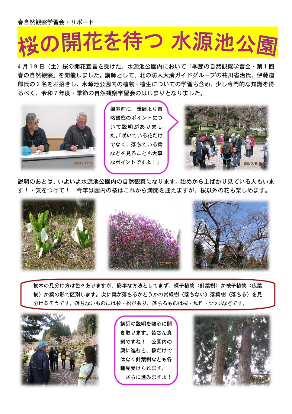 春のリポート