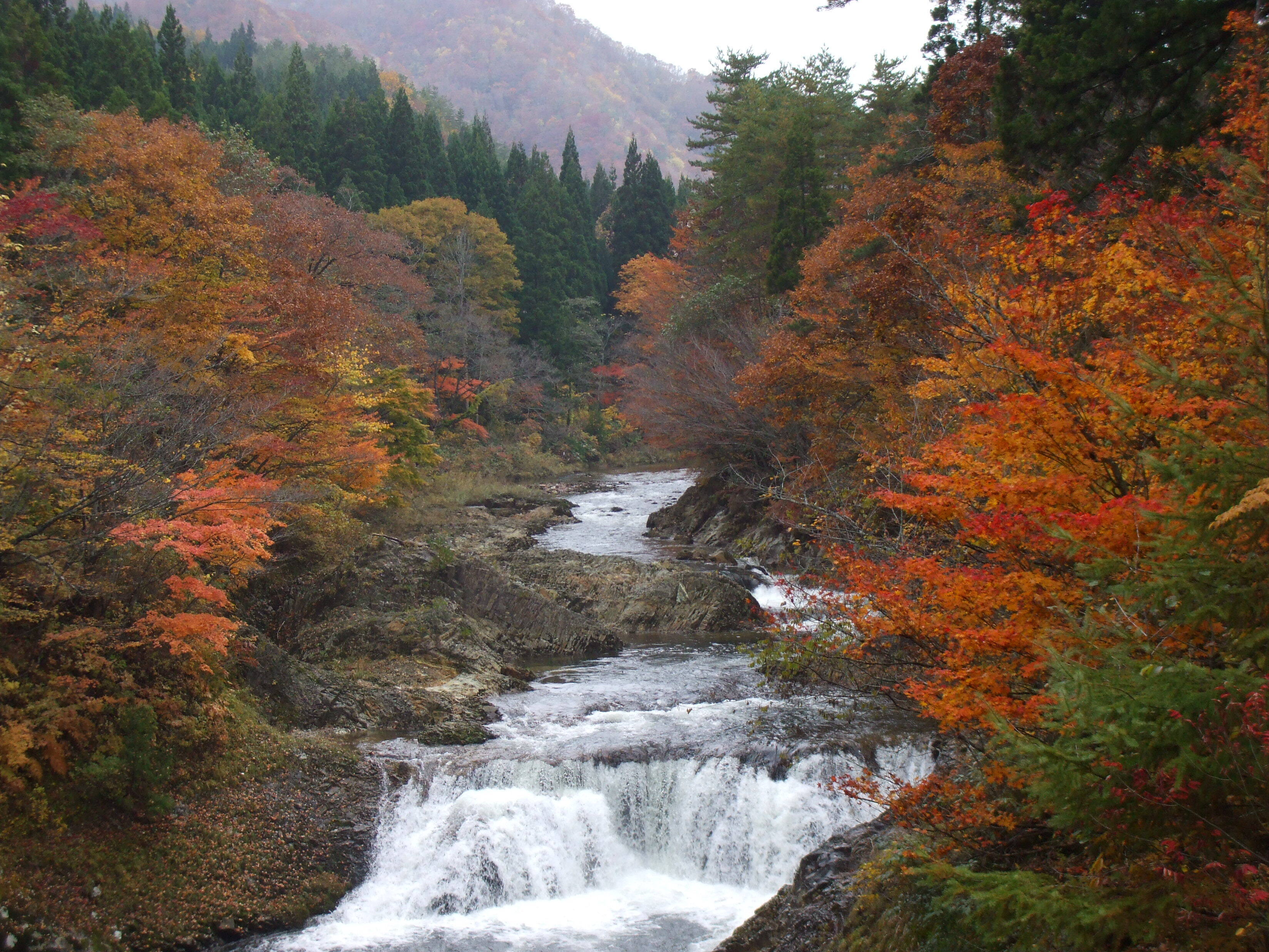 川内川渓谷紅葉