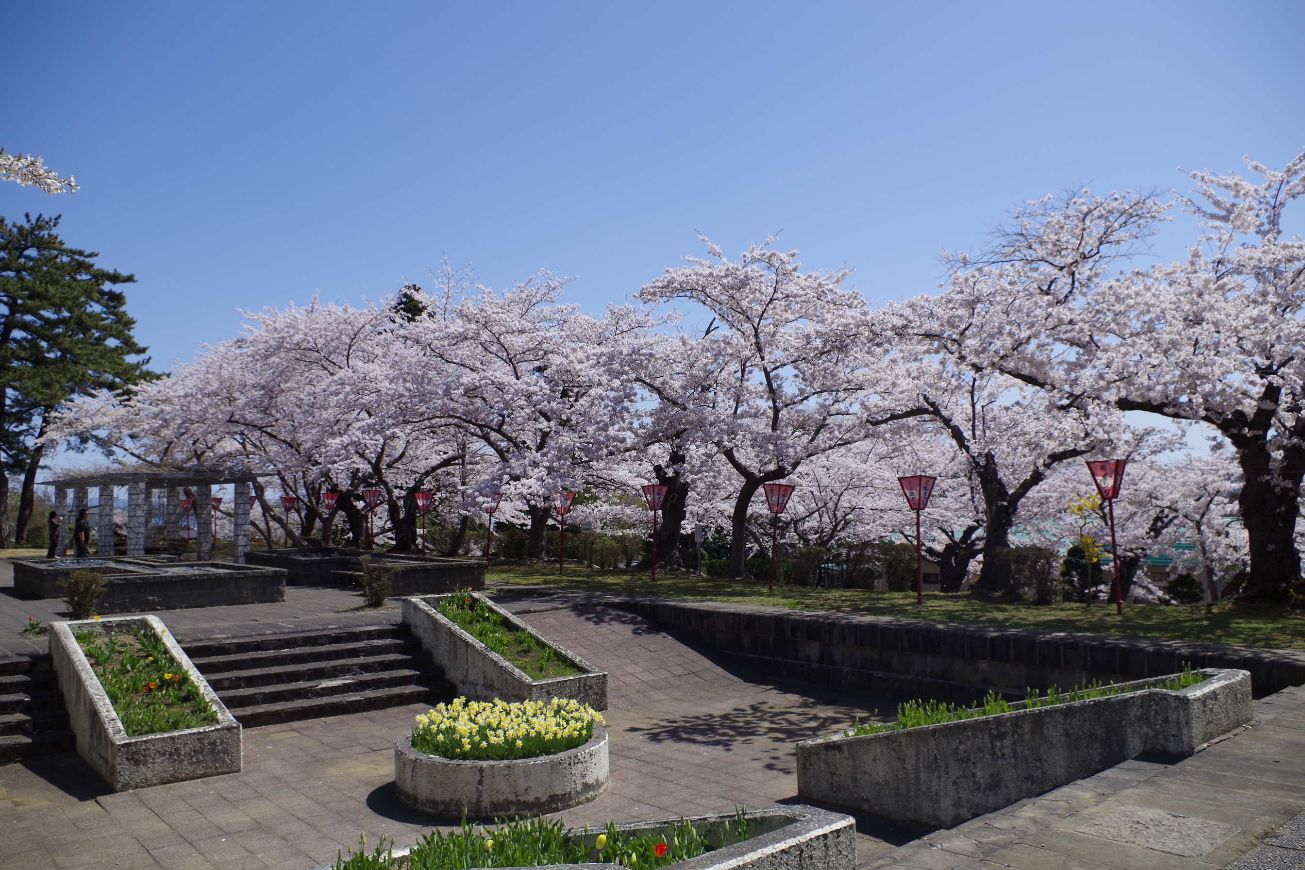 水源池公園