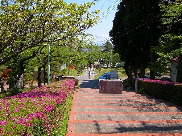 水源池公園から北洋館方向