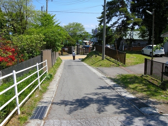 北洋館への道