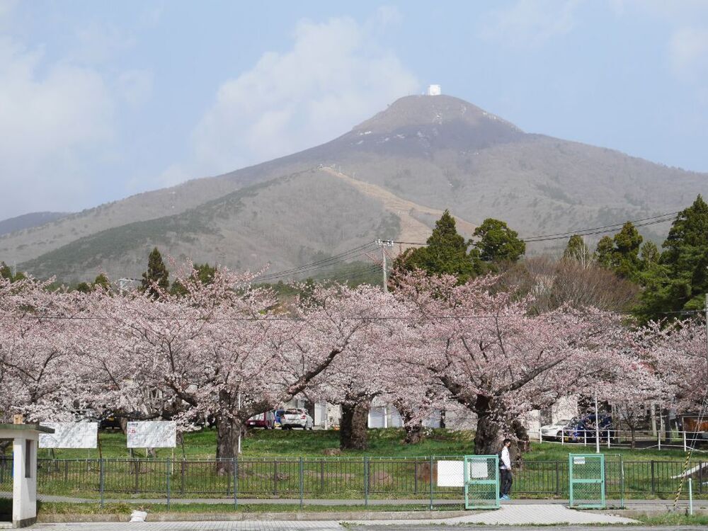 宇田