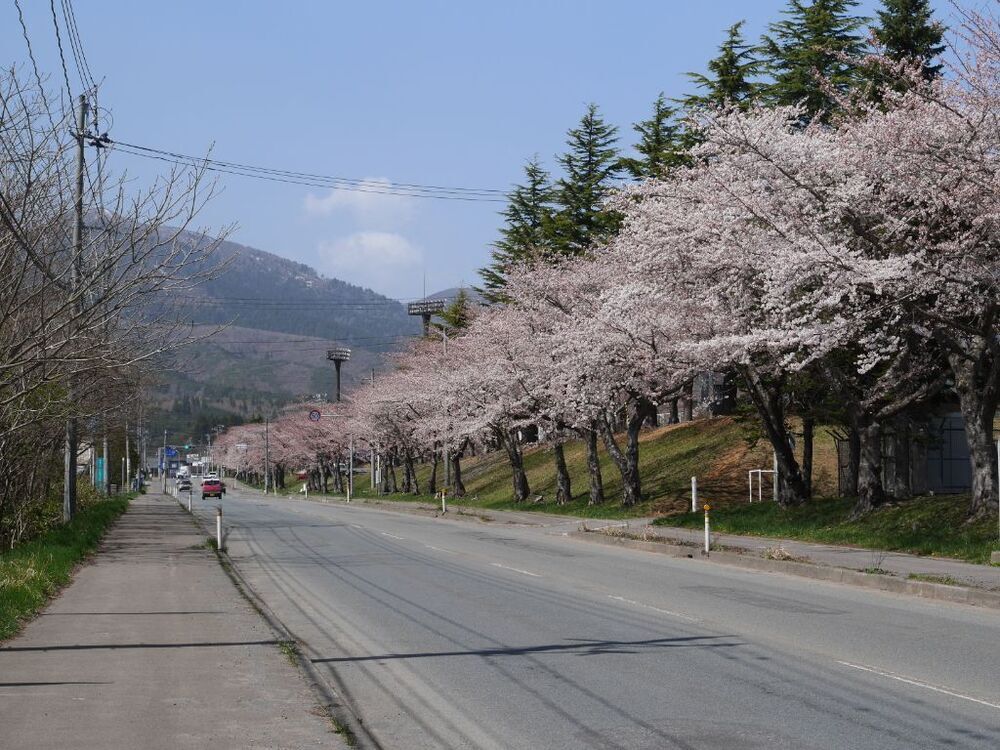 運動公園