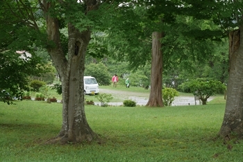 早掛沼公園10