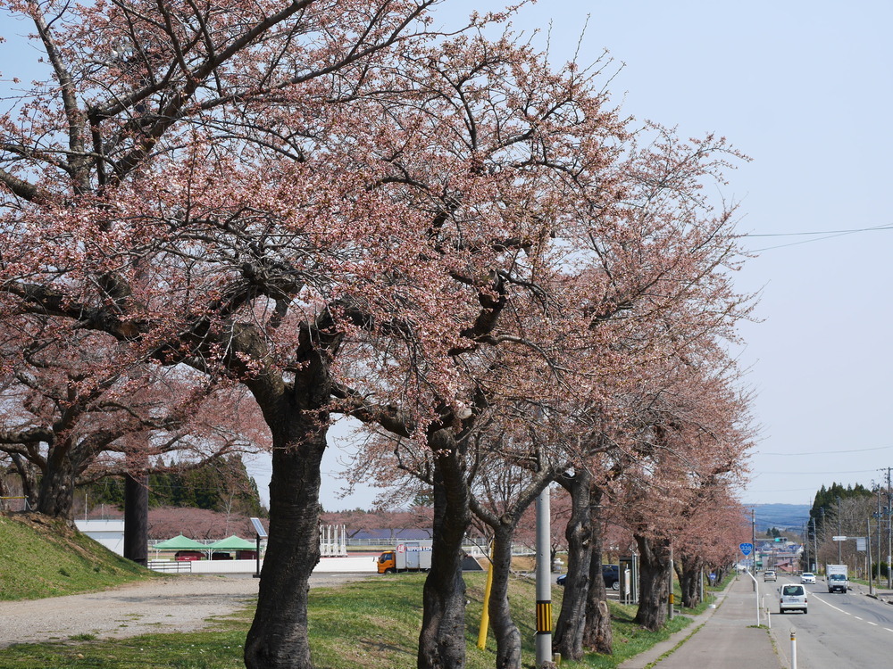 運動公園