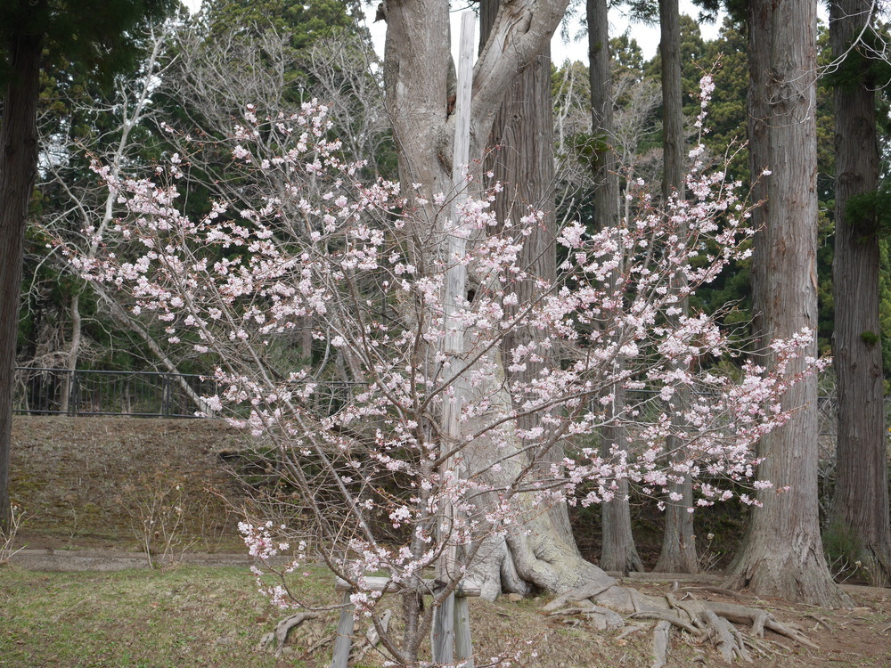 水源池