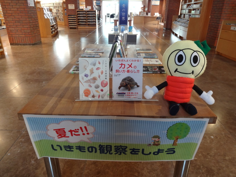一般特別展示7月①「夏だ！生き物観察をしよう」